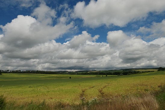 natur