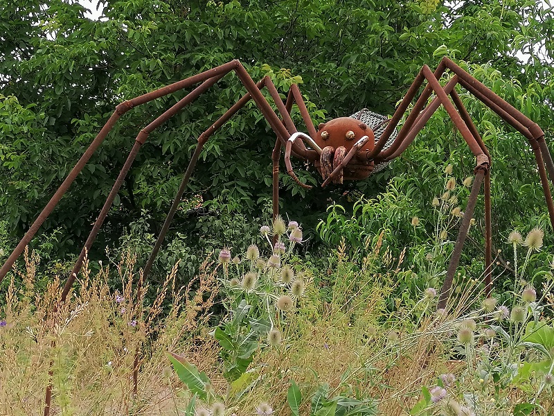 spinne