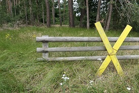 x1